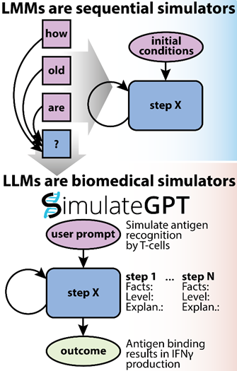 SimulateGPT: LLMs as biomedical simulators